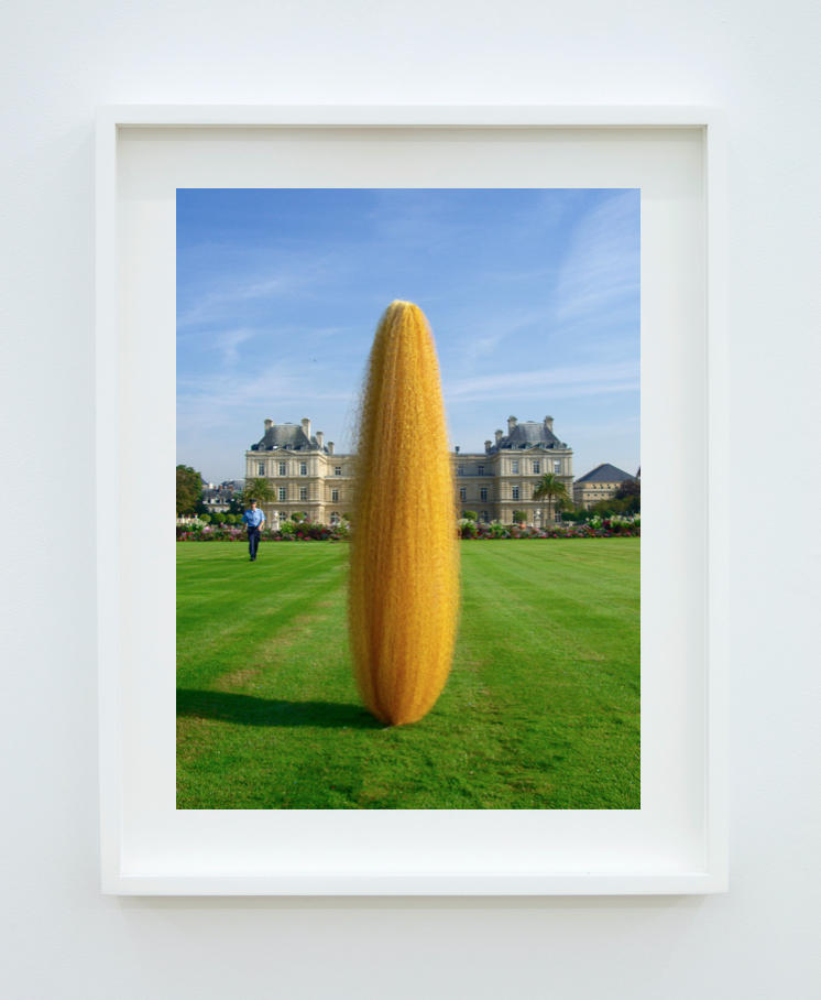 Yellow Cocoon With Officer at Jardin De Luxumberg, Paris