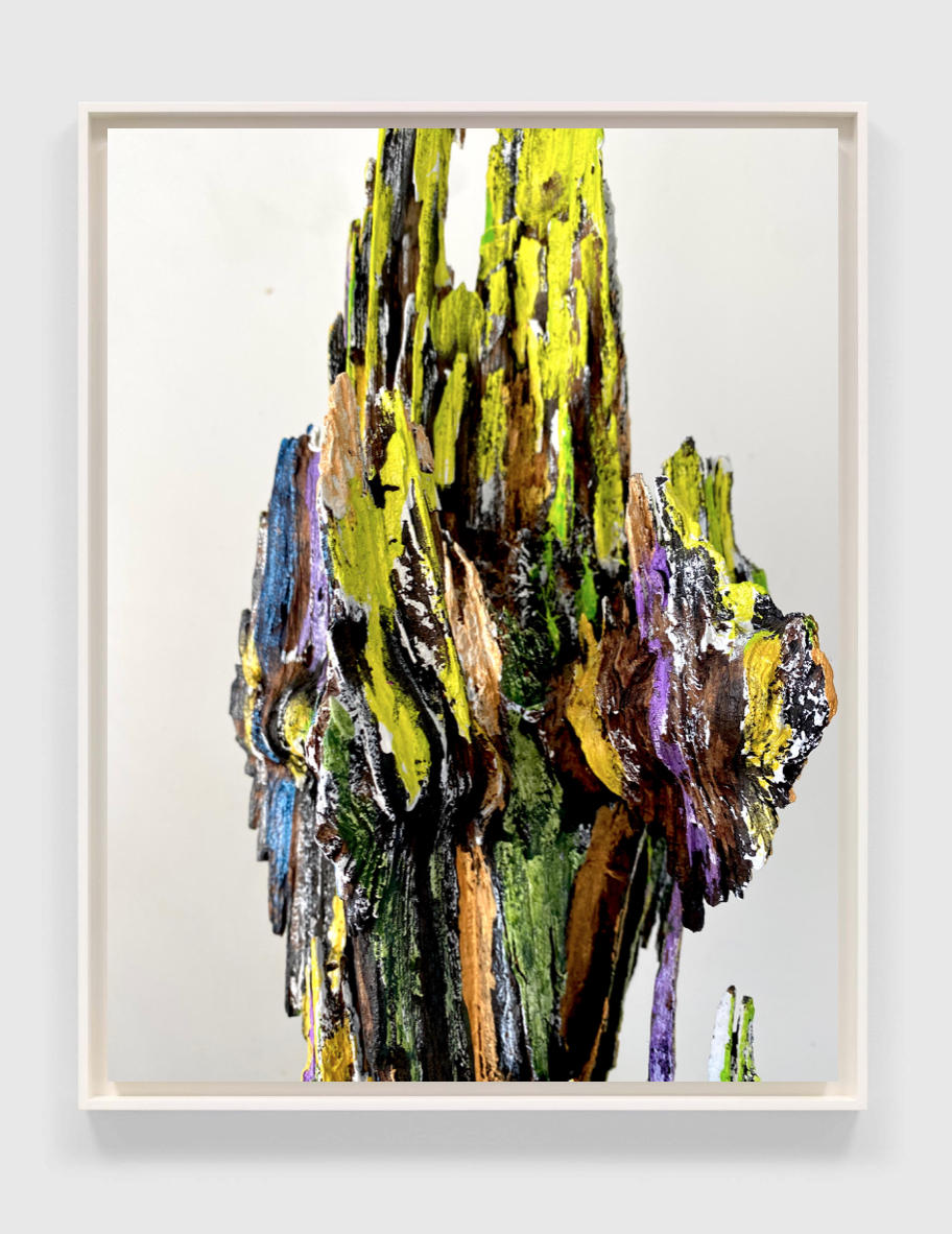 "Spring Brush 2" | From the series SPIRES | Multimedia paint on preserved found wood realized as a archival C-print | Limited edition of 5 | Sizes variable.