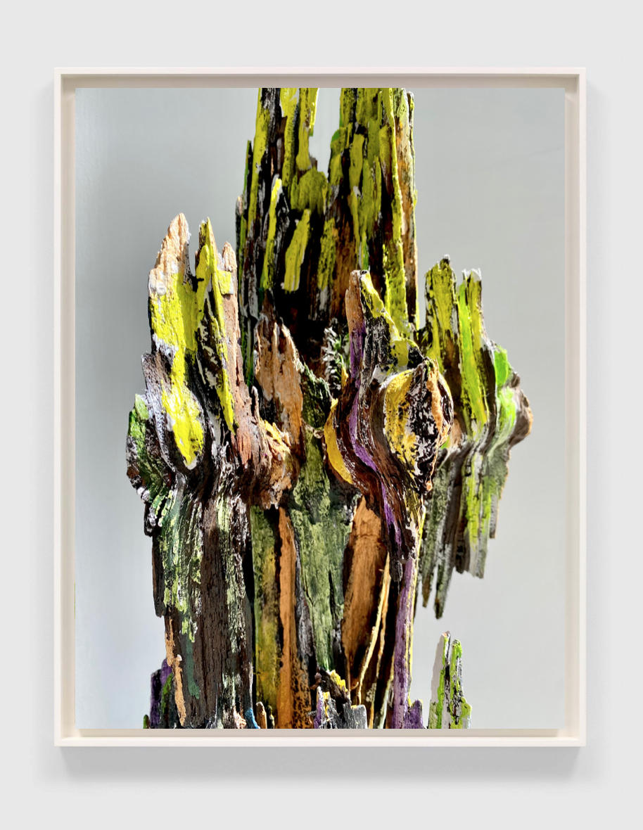 "Spring Brush 1" | From the series SPIRES | Multimedia paint on preserved found wood realized as a archival C-print | Limited edition of 5 | Sizes variable.