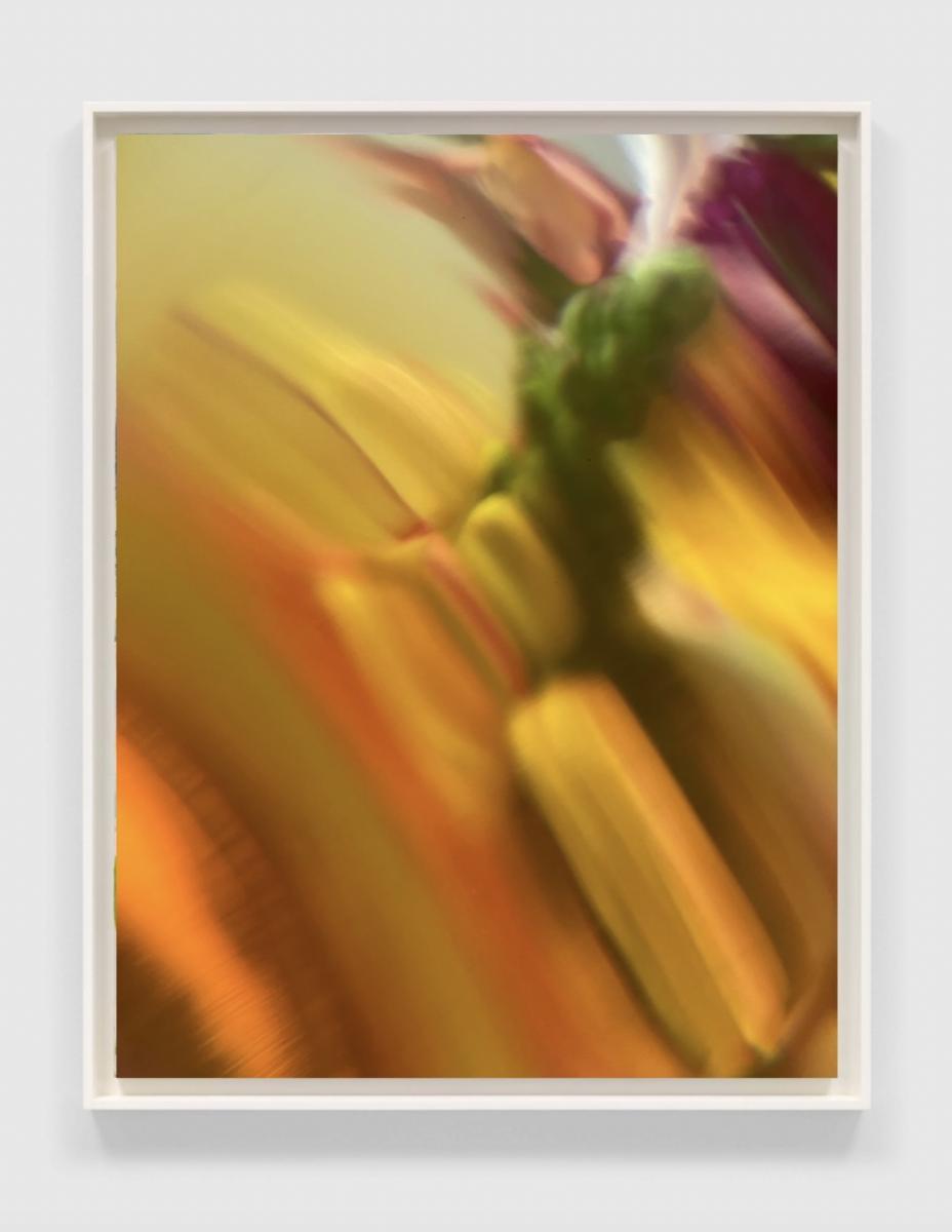Ephemera, #16 | In an artists' float frame.