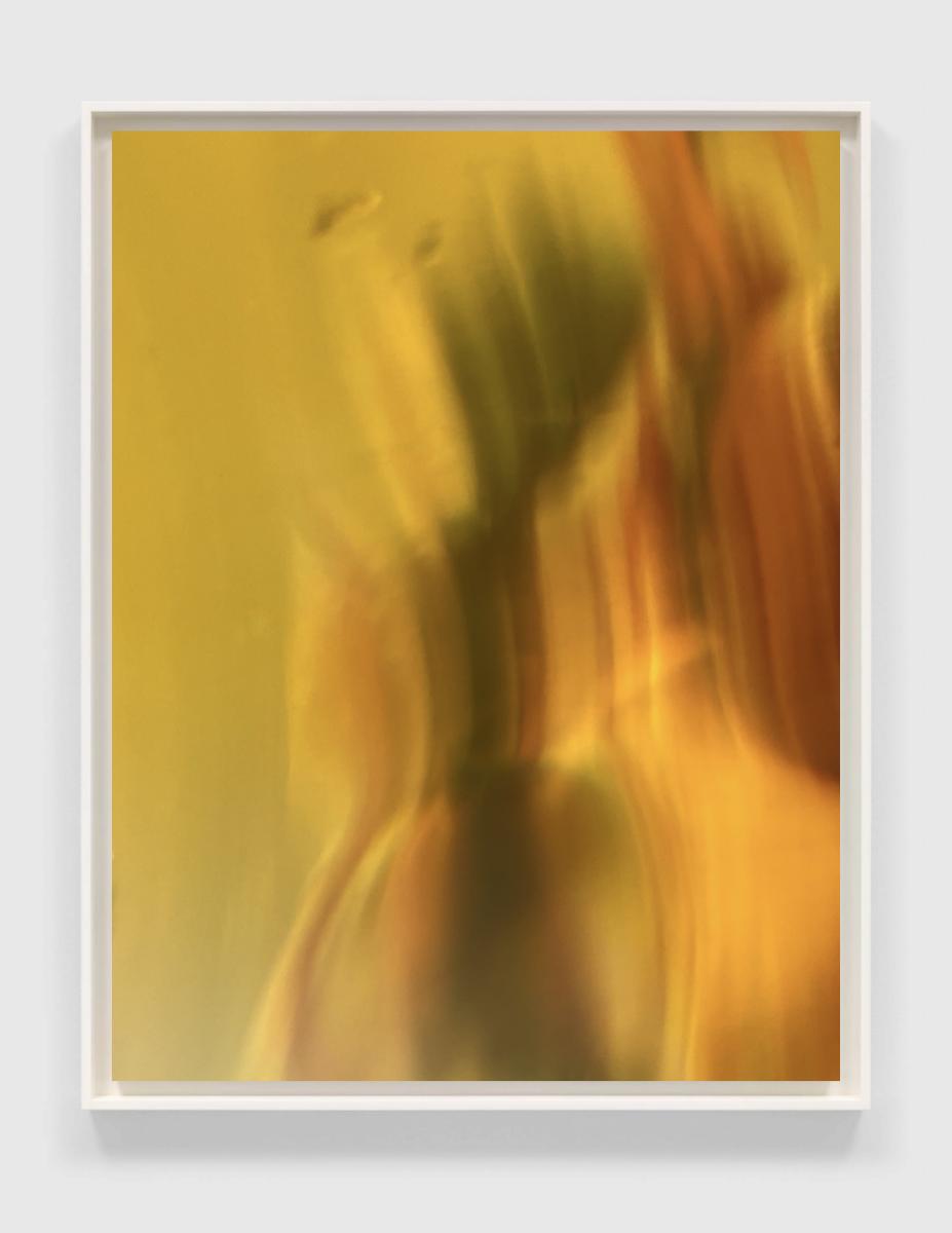 Ephemera, #19 | In  an artists' float frame.