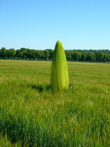 Cocoons | Installation view | Chantilli, France, July 2005