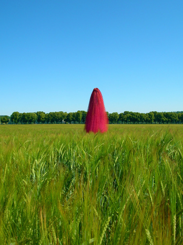 Cocoons | Installation view | Chantilli, France, July 2005