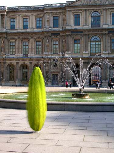 Cocoons | Installation view | Musee Du Louvre, Paris, June 2005