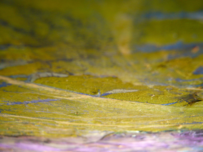 Skies | "Over Spring Flowers" | 2009 | Archival digital C-print, edition of ten, dimensions variable, grouped with at least four others.