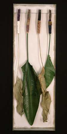 Palms | "For a Family Of Four" | Drying palm leaves with embroidery | 24" X 60" | 1995
