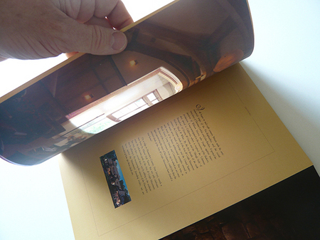 The cover die cut and inside velum allow readers to peer through the home's bay window and enter the book and the  property itself.