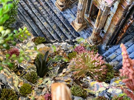 The Ephesus Geode | Interior detail with steps and fauna