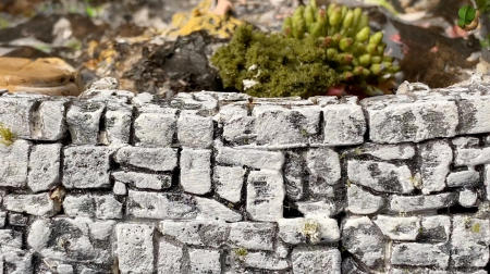 The Ephesus Geode | Interior detail with masonry and fauna