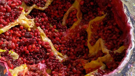 The Pomegranate Geode | Interior view