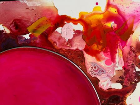 "The Magenta Host" | Detail view
