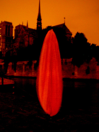 Cocoon | Notre Dame Cathedral, Paris, September 2005