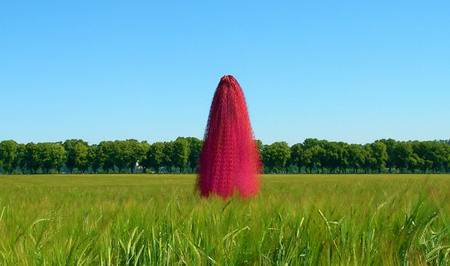 Cocoons | Installation view | Chantilli, France, July 2005